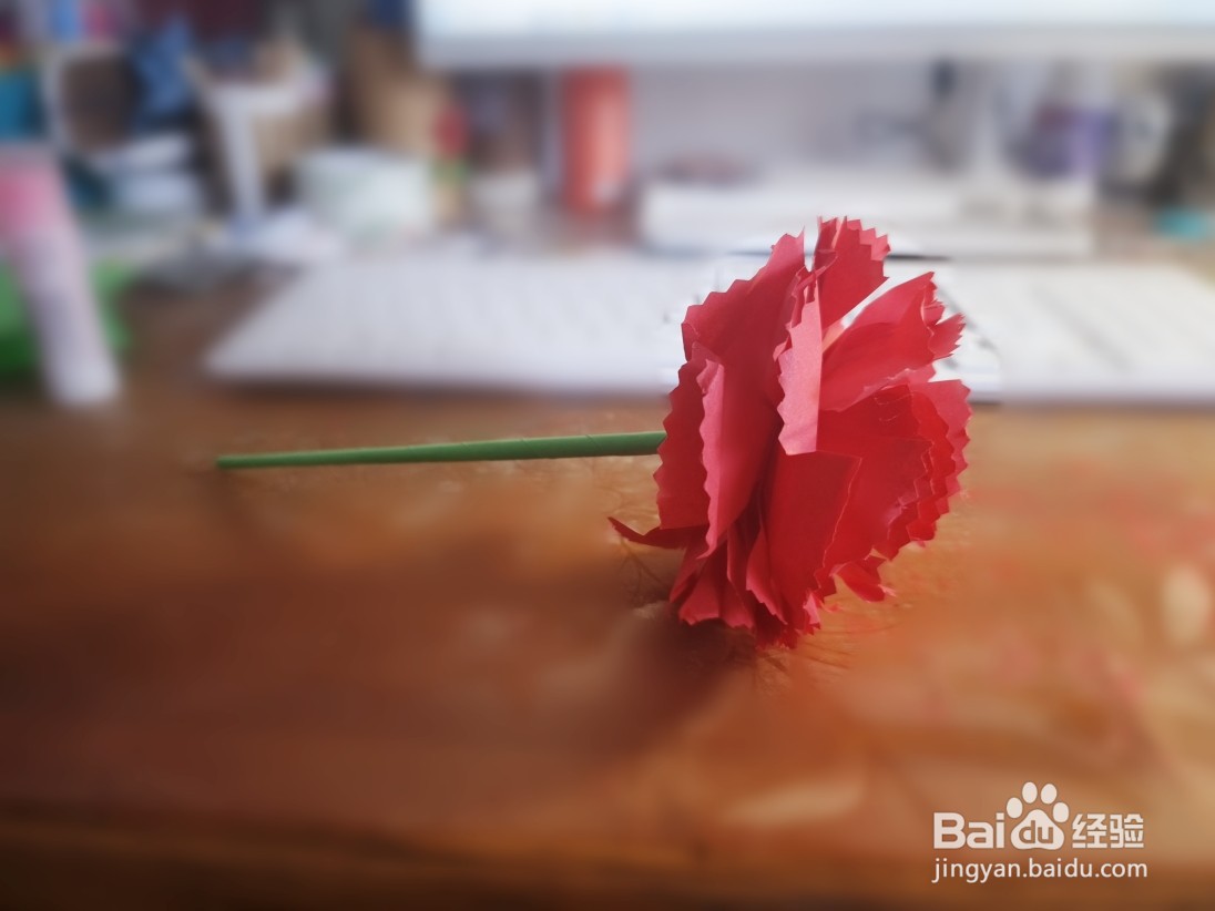 母亲节到了,我教大家用纸做一朵康乃馨