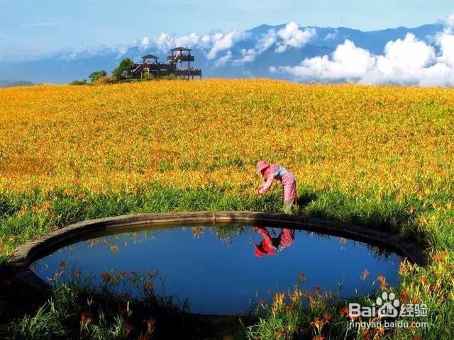 花莲旅行指南,自助游攻略