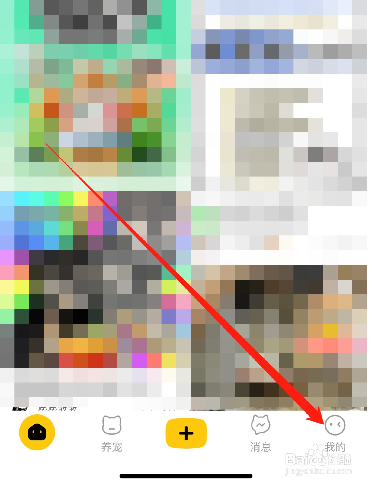 宠胖胖如何查找实名认证