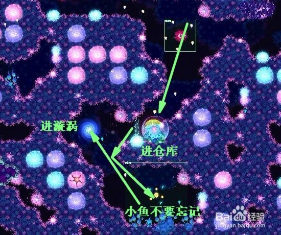 华丽荧光鱼攻略
