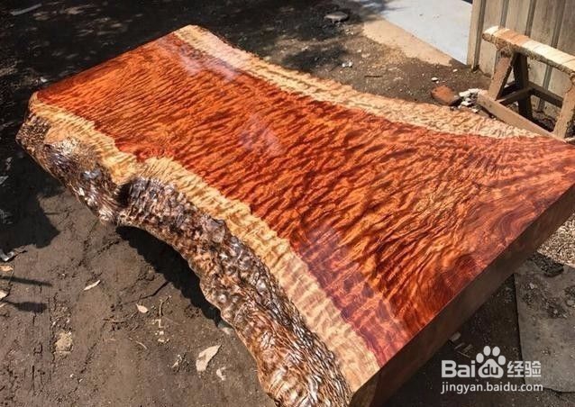 红木老师傅现场处理3400年非洲树王