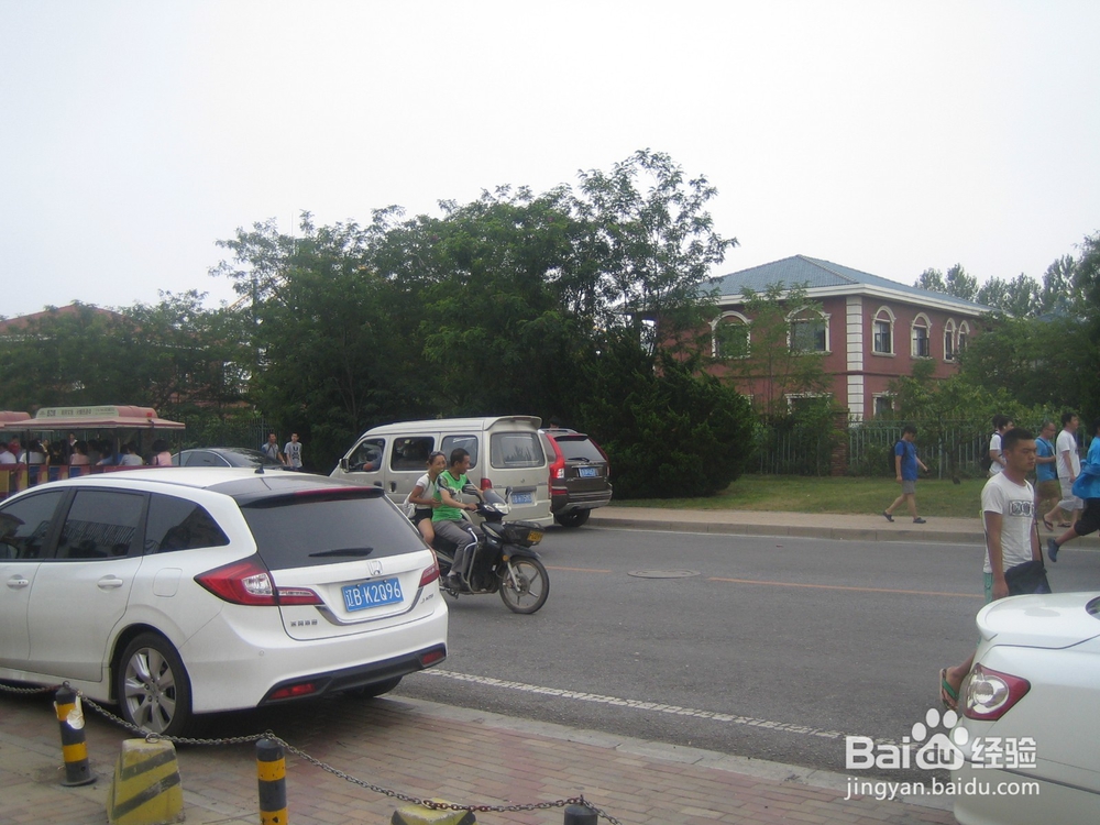 怎样告诉孩子安全过马路--21