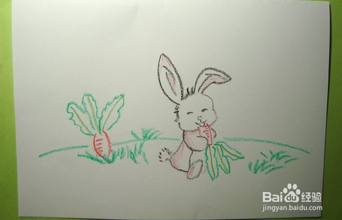 儿童蜡笔画之吃萝卜的大白兔