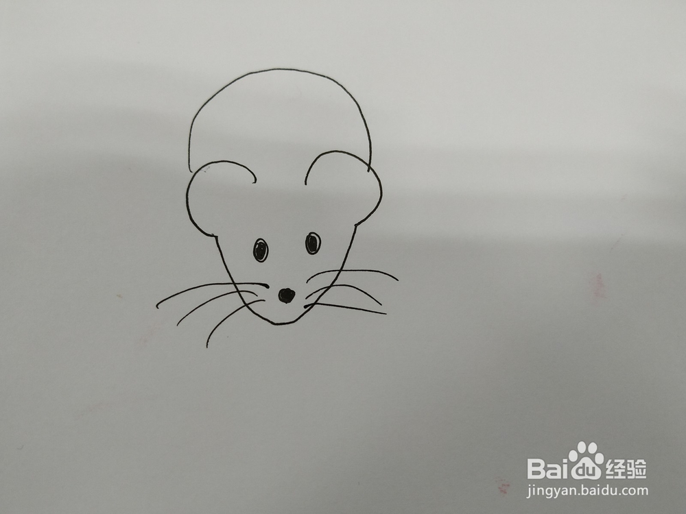 老鼠简笔画怎么画，怎么画可爱的老鼠呢