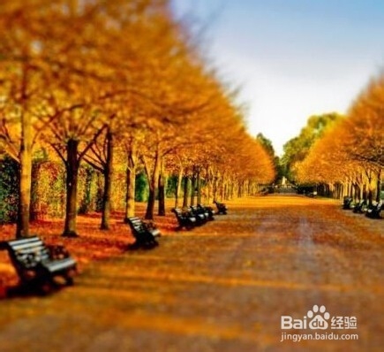 英格兰，秋天最美旅游地。