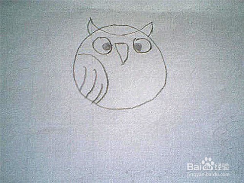 简笔画猫头鹰这样画