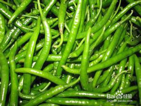 最好吃的青辣椒酱做法