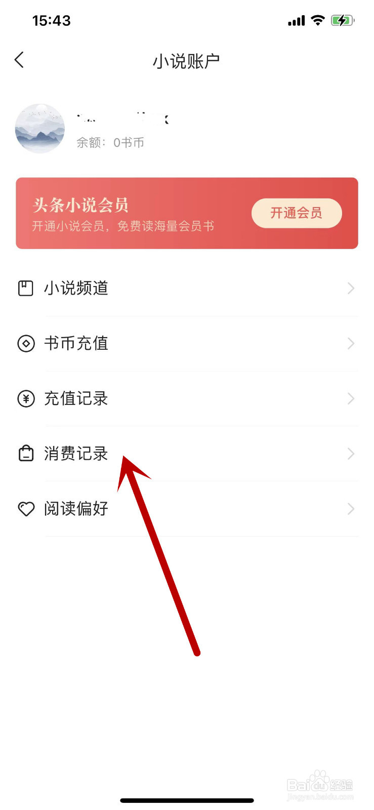 今日头条小说的近期消费记录在哪里查看？