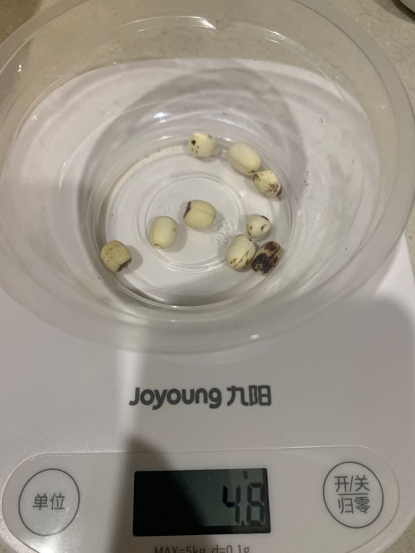 淮山茨实莲子汤