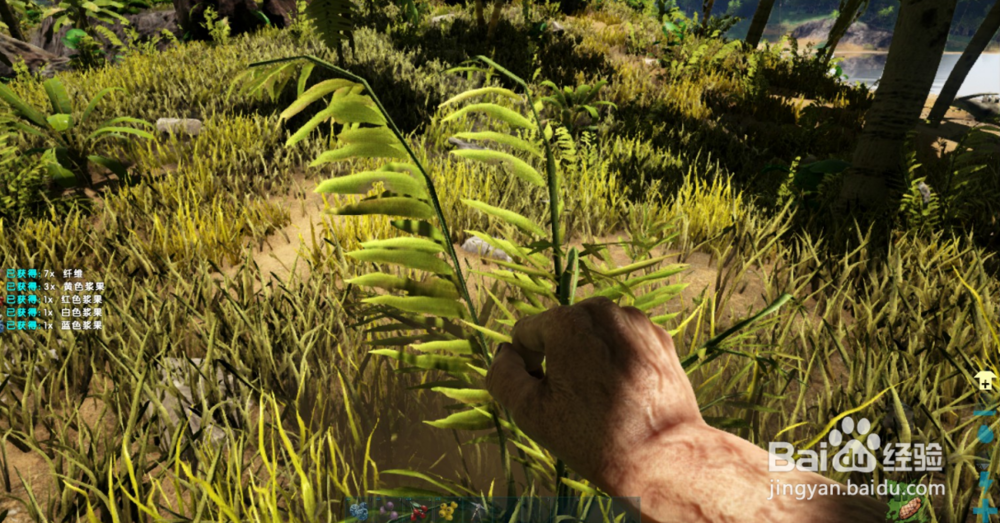 方舟生存进化如何采集浆果