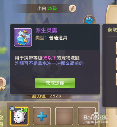 风色世界如何宠物洗髓