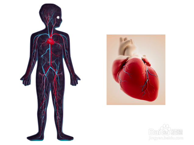 给宝宝讲大人的世界：幸福