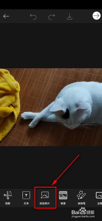 picsart如何插入照片?