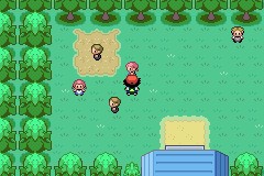 口袋妖怪圣灰攻略图片5