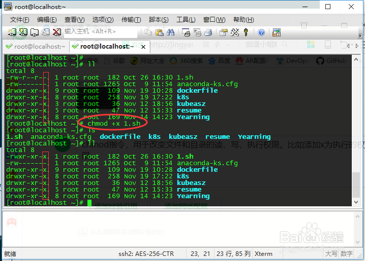 linux命令行之文件操作