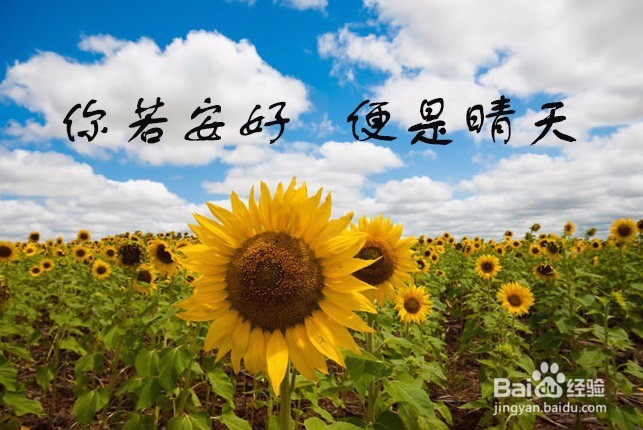 用PS怎么给照片加上文字