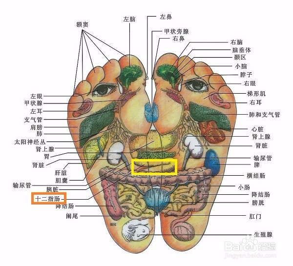 口臭怎么办