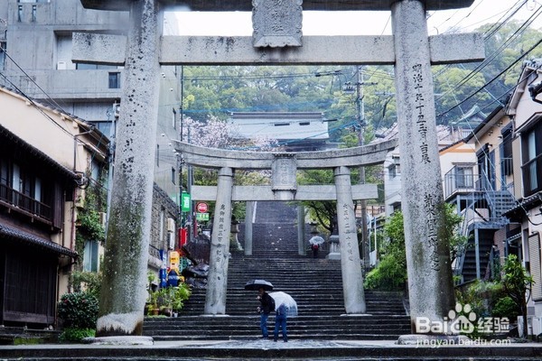 长崎最美神社,四月樱花落了