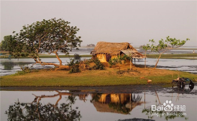 扪心自问自己真的学会孤独生活了吗？