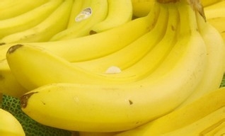 感冒了怎么办，我的小秘诀是分季节来使用！