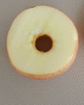 家制苹果干有技巧