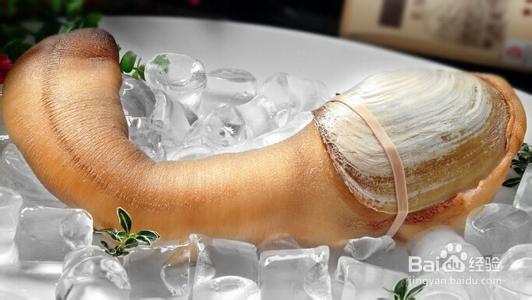 象拔蚌热销中国，象拔蚌的营养价值