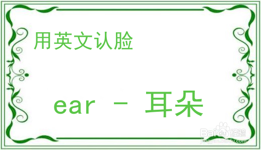 教你用英文认脸