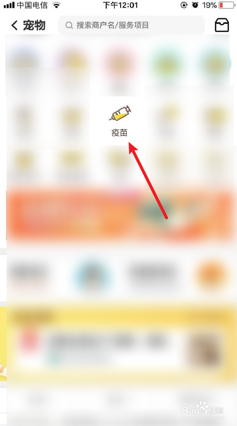 小狗打疫苗预约流程