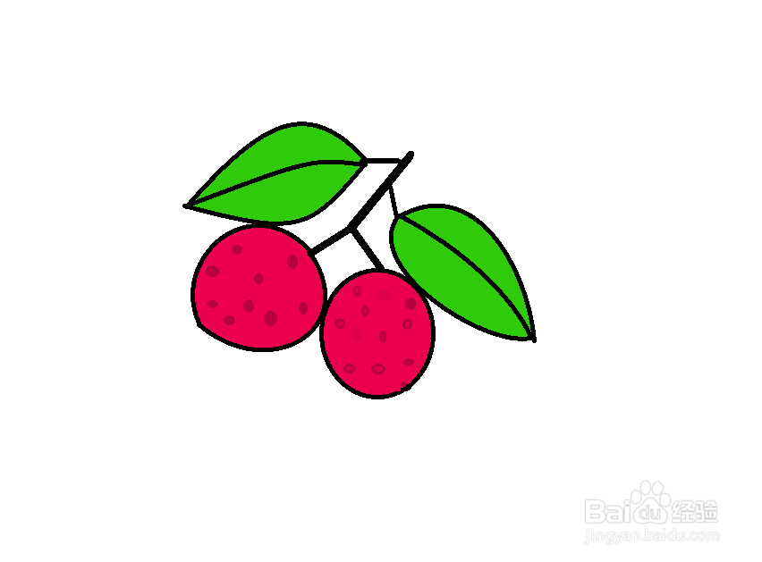 荔枝的简笔画法图片