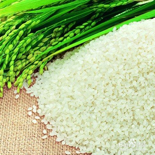 防止大米长虫