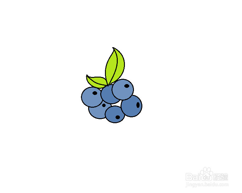简笔画怎么画蓝莓
