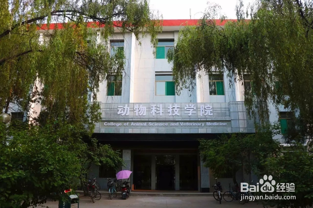 #萌新听我说#山西农业大学:开学指南篇