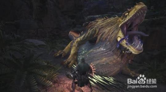 怪物猎人坐骑任务攻略