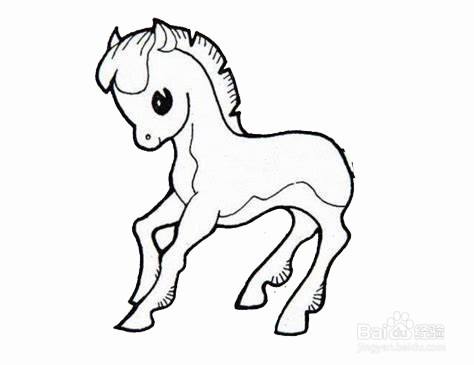 奔跑的棕色小马驹的简笔画