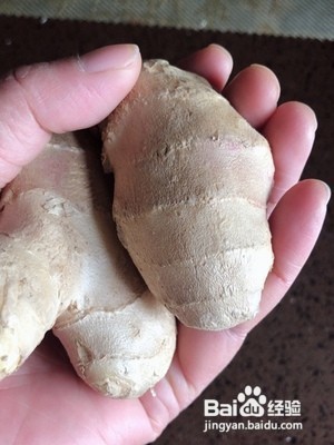 冬瓜绿豆排骨汤的功效与作用