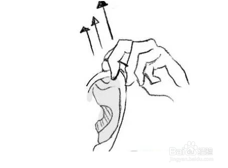 经验分享：不花钱易操作的养肾秘方