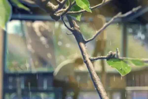 上面一个雨下面一个伞怎么读