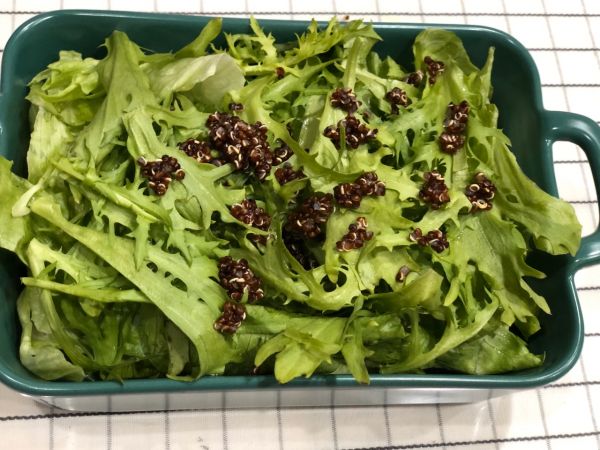 三文鱼藜麦沙拉