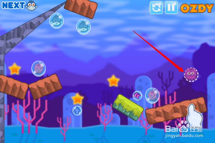 海底生物救援第3-4关