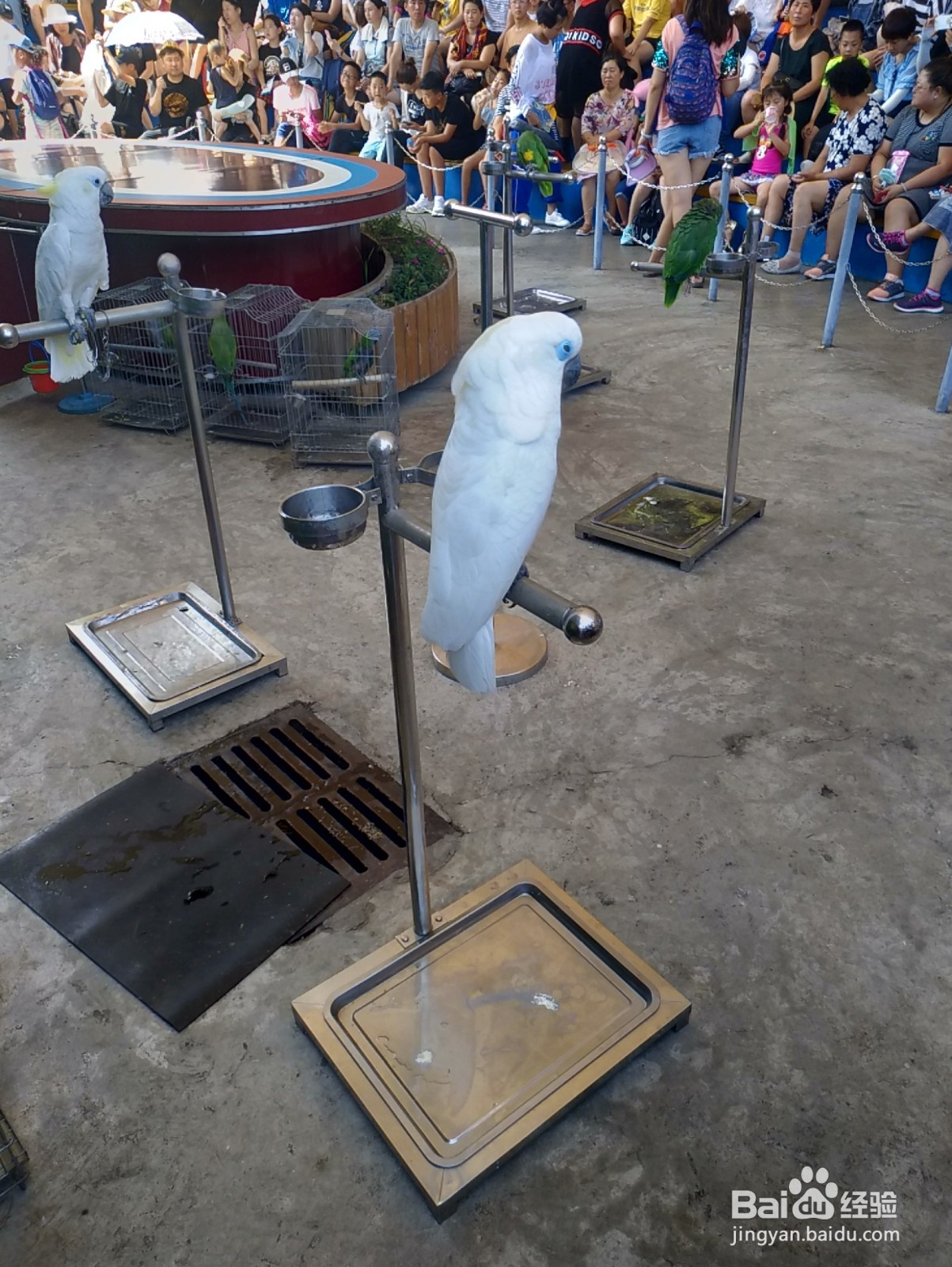 大连老虎滩一日游攻略