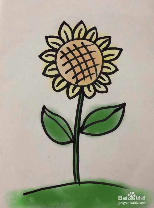 怎么画向日葵;向日葵简笔画的画法
