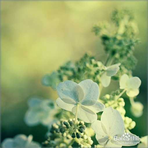 如何判断网上兼职