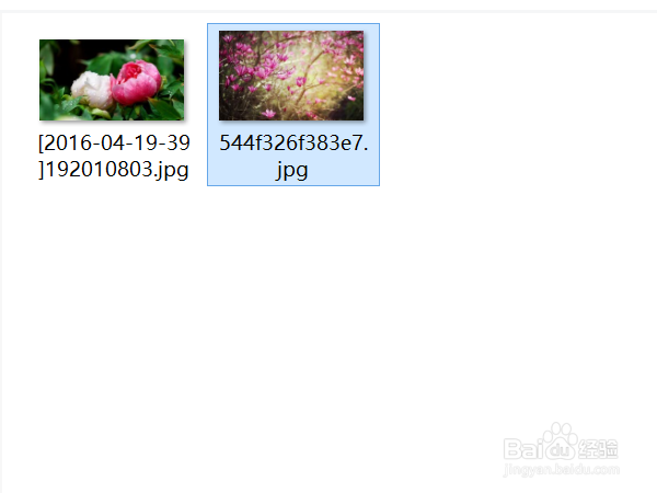 下载的图片打不开怎么办