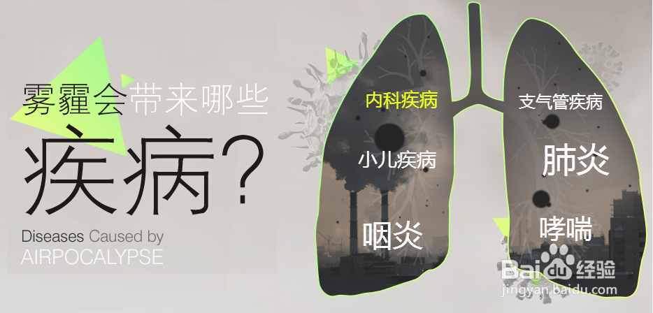 雾霾又来了,拿什么拯救我们的肺?