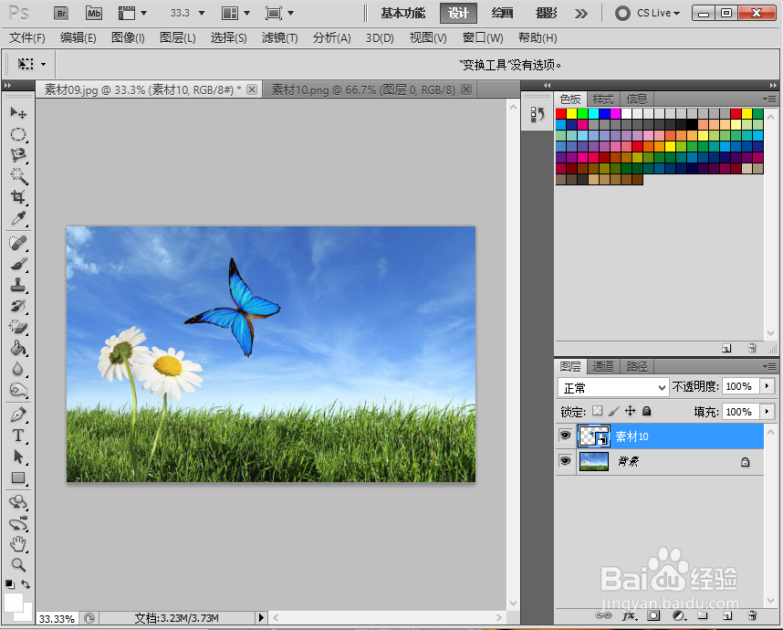 photoshop速成详解,如何利用自由变换制作蝴蝶