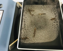 提拉米苏的做法