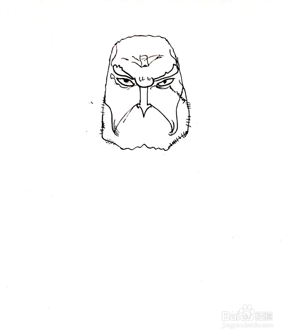 《航海王》系列之钢骨空简笔画