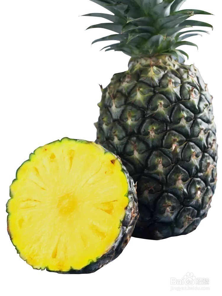 菠萝和凤梨的区别