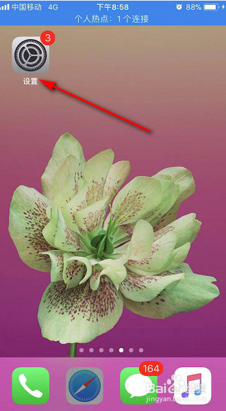 苹果手机怎么开启热点呢
