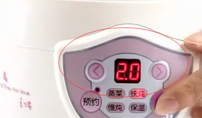 木瓜炖燕窝的做法